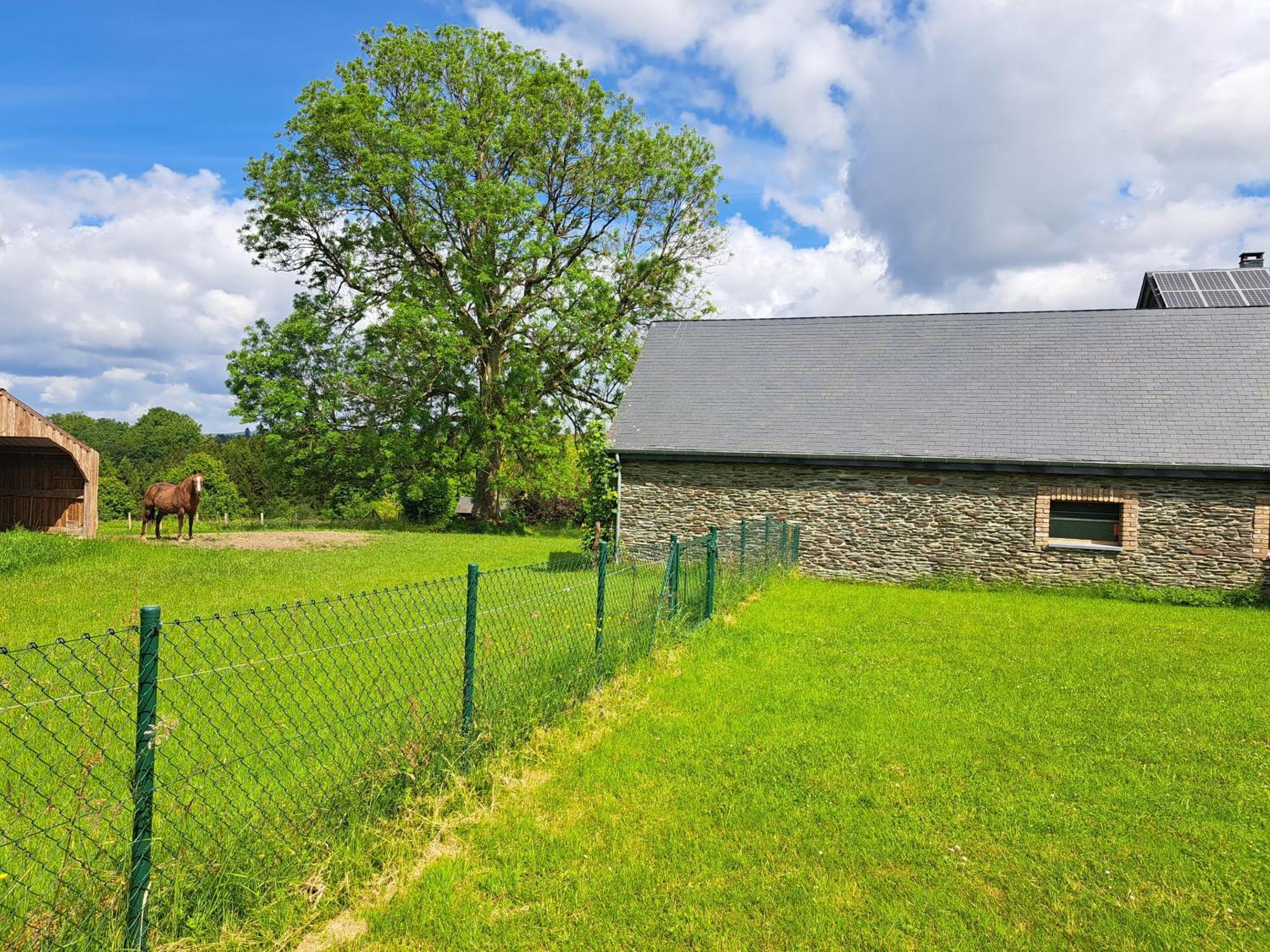 Gite L'Olivier A Filly - Nadrin, Entre Houffalize Et La Roche-En-Ardenne Exterior photo
